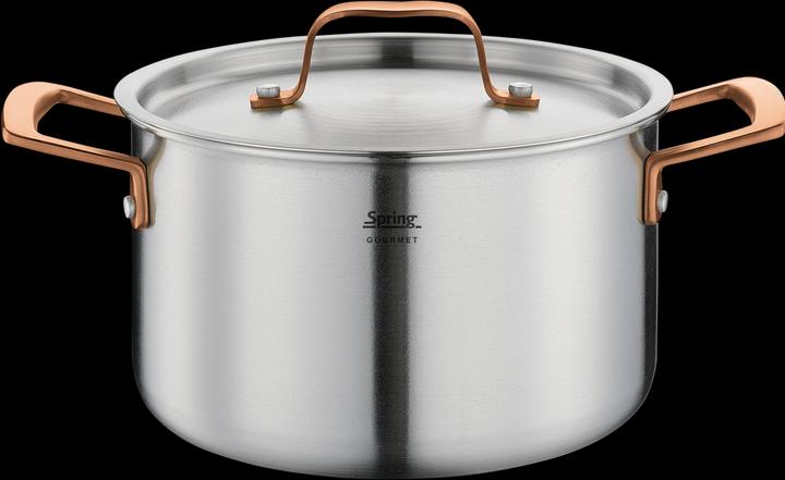 Produktbild Spring Gourmet Kochtopf rosé-gold (20 cm, Kochtopf)