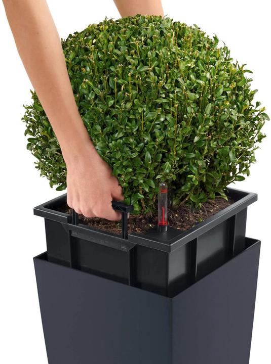 Produktbild Lechuza Cubico Color (29.50 cm)