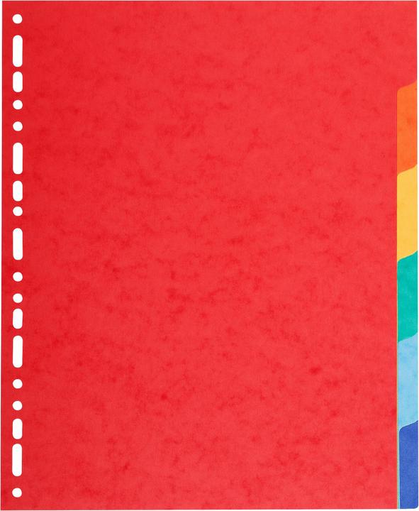 Biella TOP COLOR - Registro A4