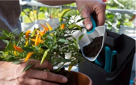 Produktbild Gardena City Gardening Balkon Box