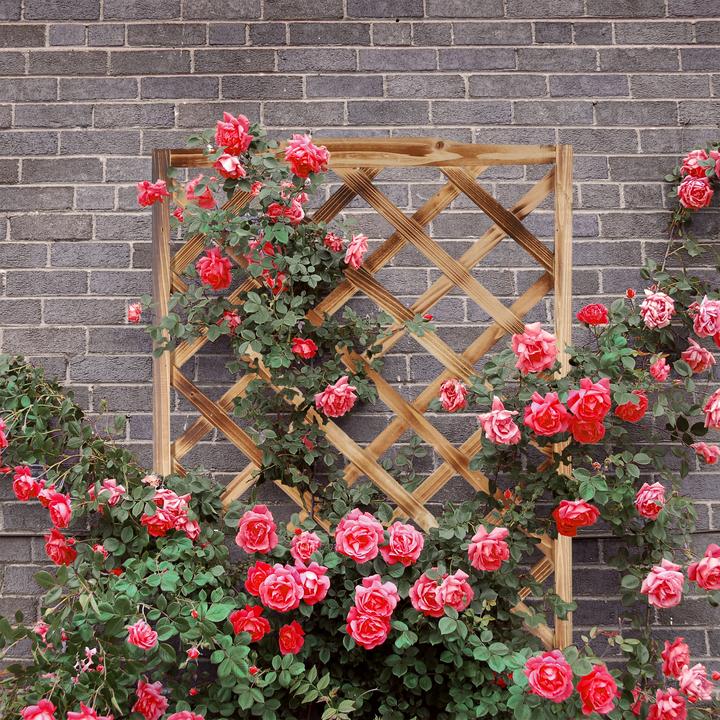 Actual product image Relaxdays Flamed Planter Box with Trellis (38 cm, 38 cm)