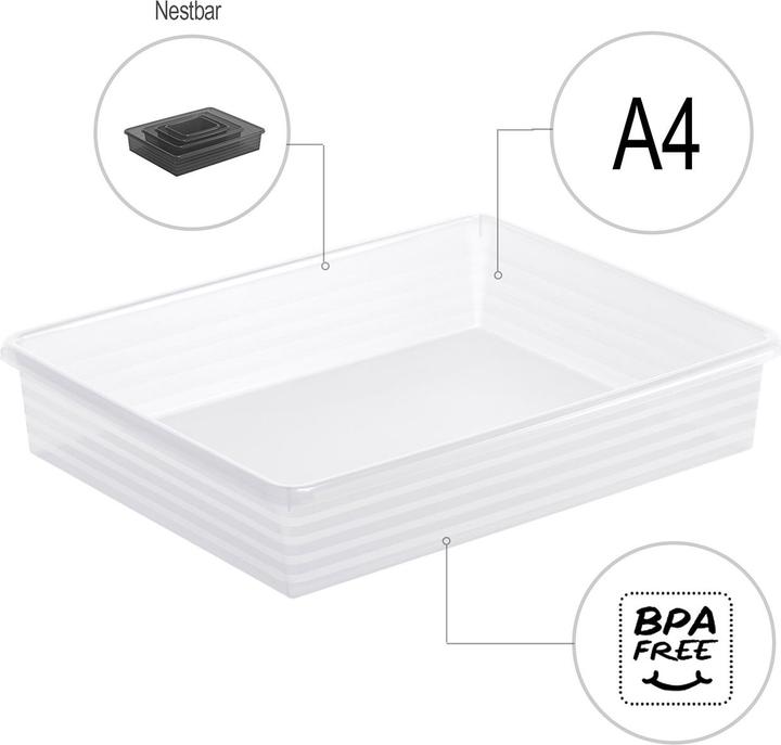 Actual product image Rotho Linus (34.5 x 27 x 6 cm, 0 l)