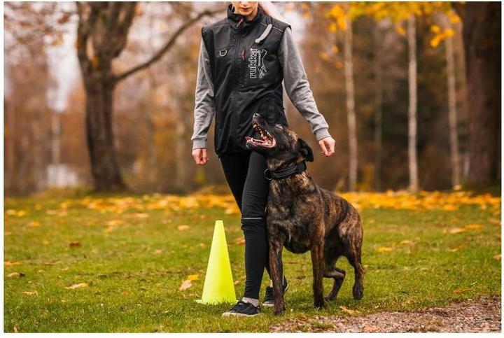 Produktbild Rukka Training Weste (L, Hundeweste)