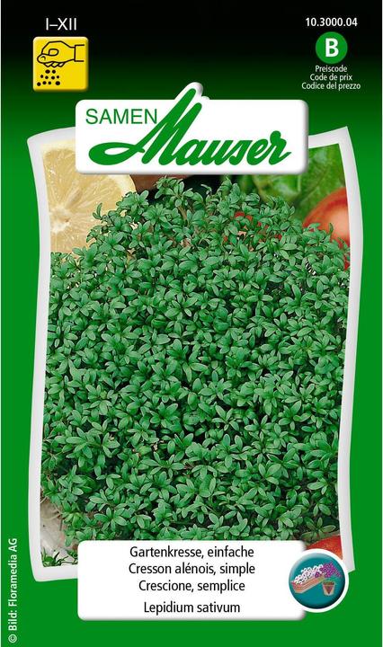 Produktbild Samen Mauser Gartenkresse, einfache (Kräutersamen)