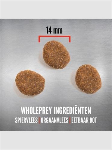 Immagine prodotto Orijen Cane Rosso Regionale (Adulto, 1 pz., 6000 g)