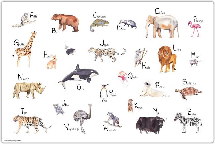 Actual product image CoverYourDesk Animal ABC (60 x 40 cm)