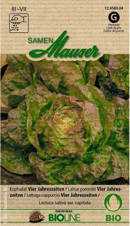 Produktbild Samen Mauser Knospe Bio (Gemüsesamen)