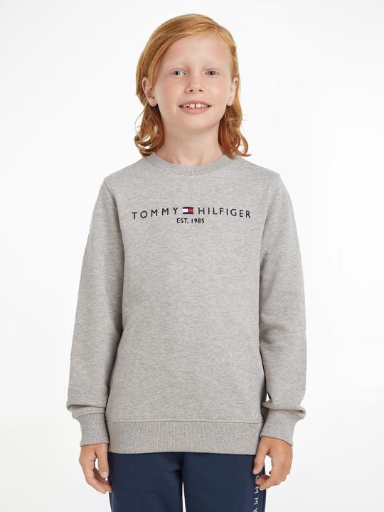 Produktbild Tommy Hilfiger Essential Sweatshirt (74)