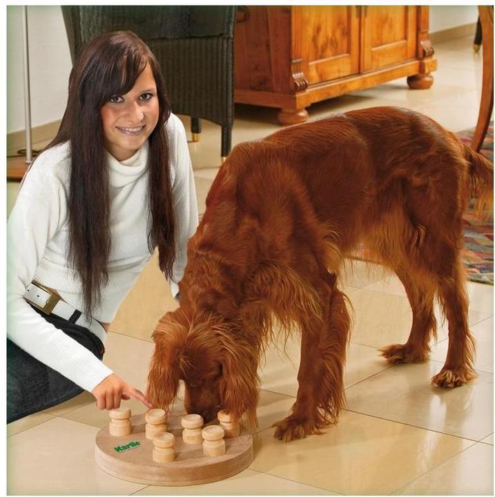 Image du produit Karlie train des cerveaux de chiens (Jouet intelligent chien)