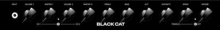 Immagine prodotto Bad Cat "Combo 1x12 "Black Cat (Chitarra, 20 W)