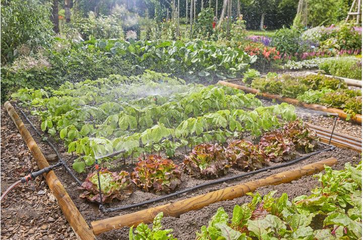 Actual product image Gardena Micro-Drip-System Set vegetable/flower bed (Drip irrigation set)