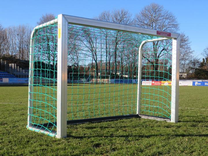 Sport-Thieme Mini-Fussballtor mit PlayersProtect
