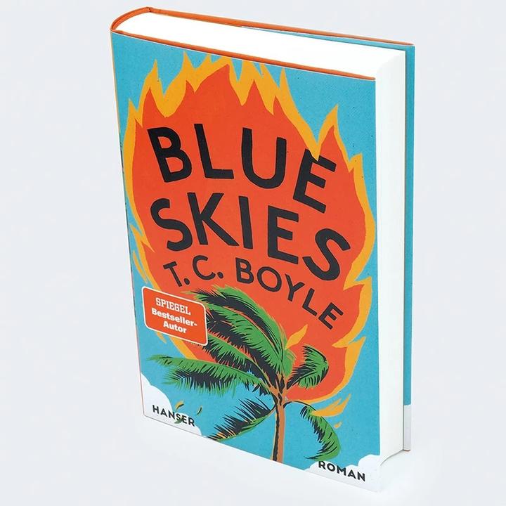 Actual product image Blue Skies (German, T.C. Boyle., Dirk van Gunsteren, 2023)