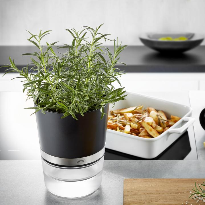 Immagine prodotto GEFU Botanico (14.20 cm)