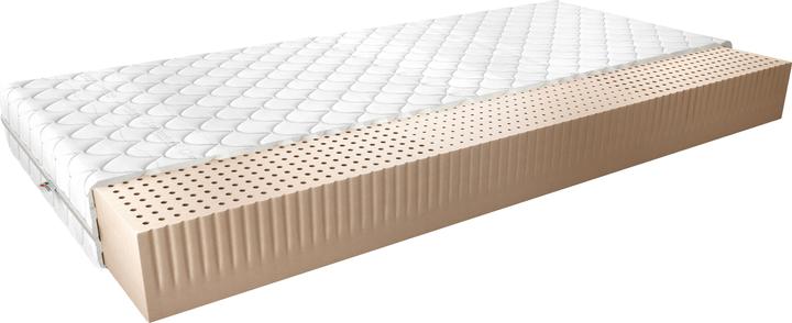 Immagine prodotto ELTAP Milano Medicott Silver (90 x 200 cm, Nucleo in lattice)