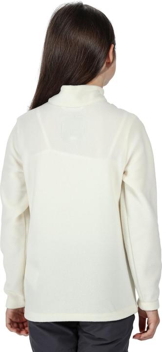 Actual product image Regatta Great Outdoors Childrens/Kids Hot Shot II Half Zip Fleece Top (158)