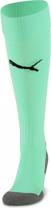 Actual product image Puma Team LIGA Socks CORE-703441 (43, 46)