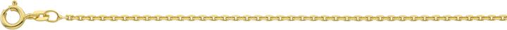 Image du produit Bijou Classic Collier Anker geschliffen 42 cm (Or)