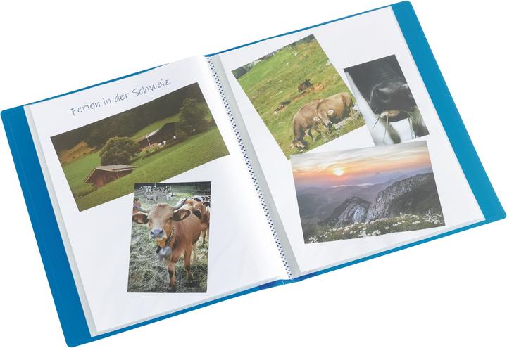 Immagine prodotto Kolma Libro A4 facile con 20 tasche blu (A4, 1 x)