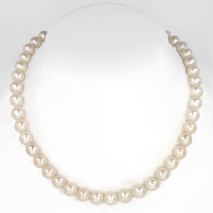 Actual product image Bijouteria Pearl necklace (Silver 925, Freshwater pearl, 50 cm)
