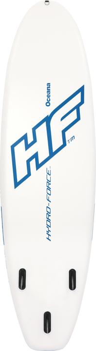 Actual product image Bestway Hydro-Force (10')