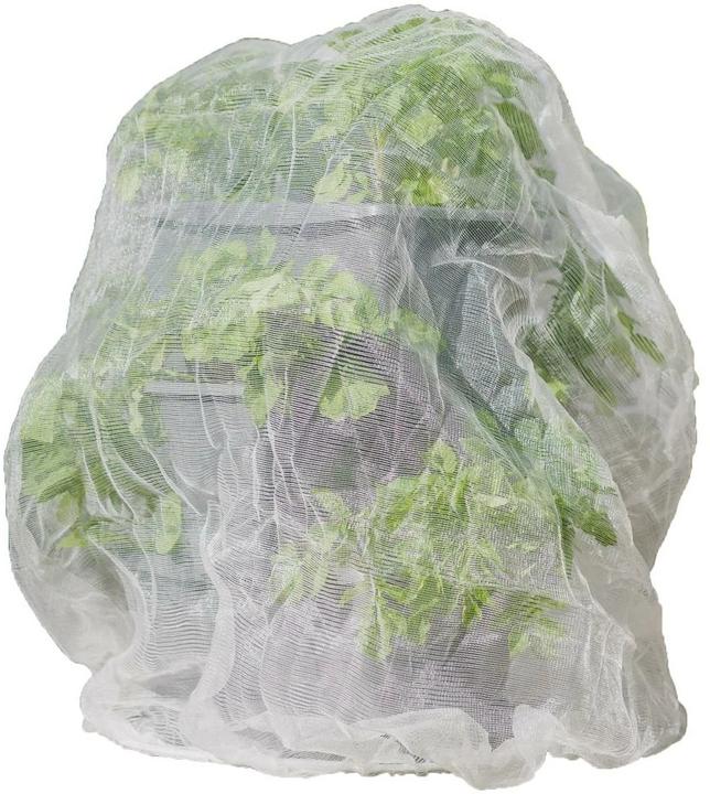 Immagine prodotto Gusta Garden Rete di protezione dagli insetti, 65 x 90 cm