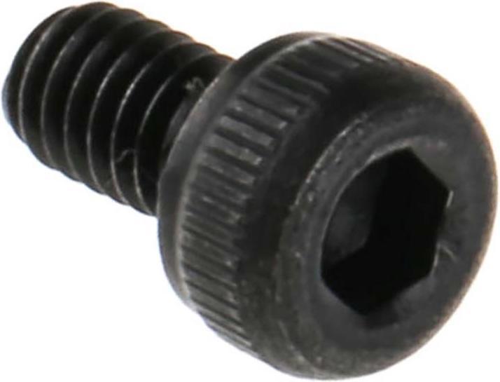 Actual product image Rs Pro Screws micro head Allen M2,5x4mm
