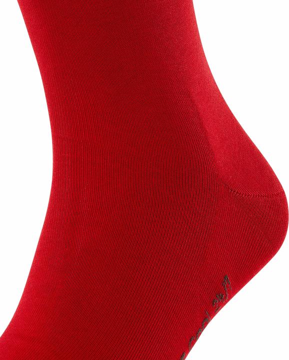 Produktbild Falke Cool 24/7 (Einzelpack, 45 - 46)