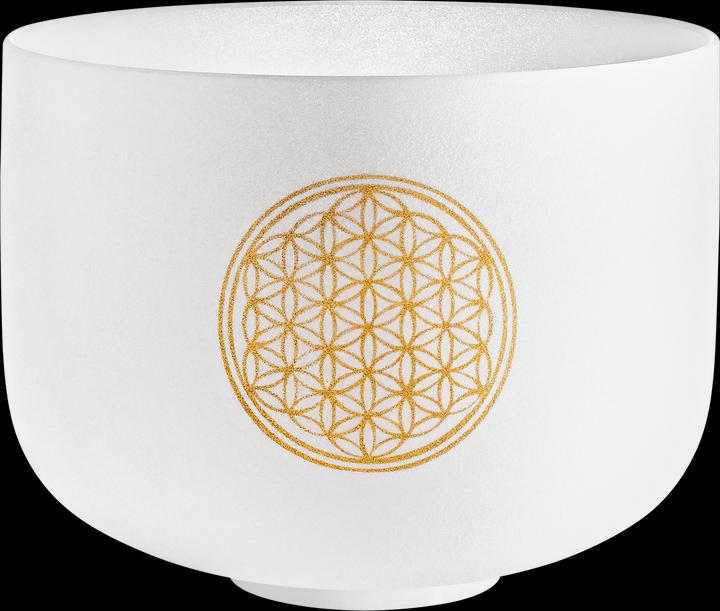 Immagine prodotto Meinl Ciotola di cristallo planetaria da 10 pollici Fiore della Vita (Percussioni)