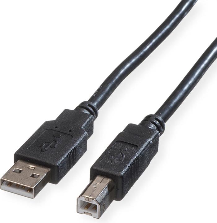 Image du produit Roline USB 2.0 (1.80 m, USB 2.0)