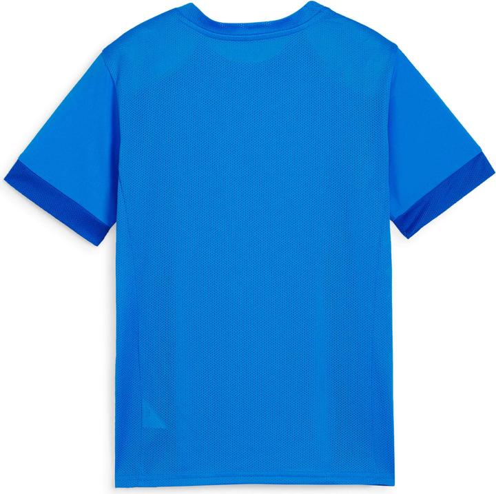 Actual product image Puma teamGOAL Matchday Jersey jr (116)
