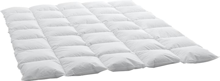 Produktbild Swiss Dream by billerbeck Cassette Cosy Classic 90 (970 g, 160 x 240 cm)