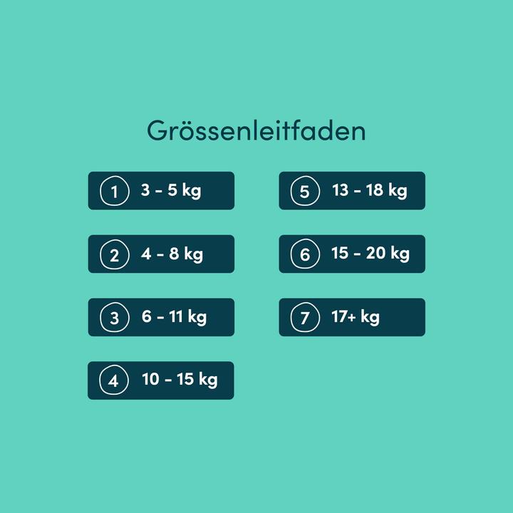 Produktbild Rascals Premium-Windeln (Gr. 4, Monatsbox, 148 Stück)