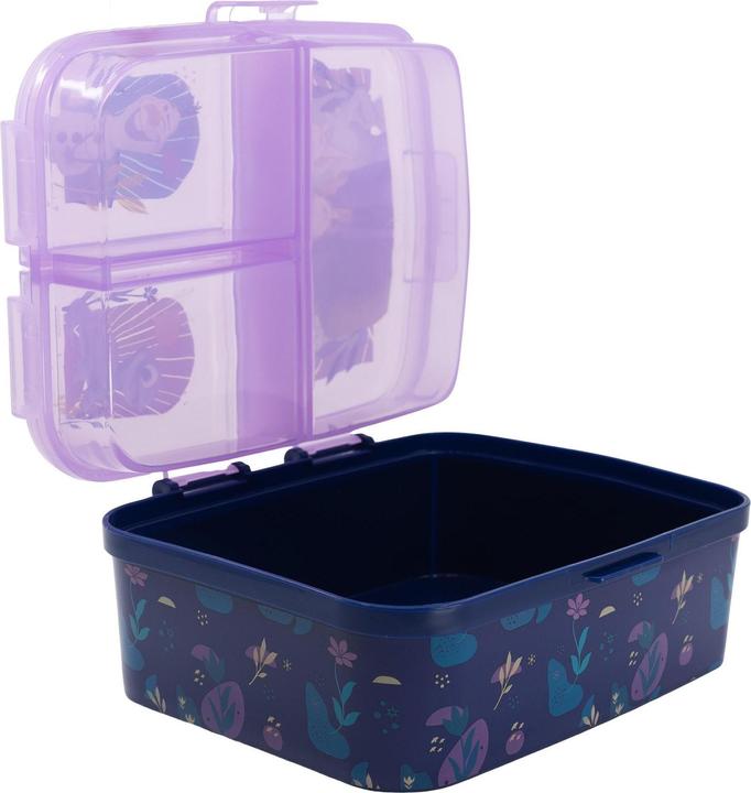 Actual product image Stor Frozen II "TRUST THE JOURNEY" - Sandwich Box XL