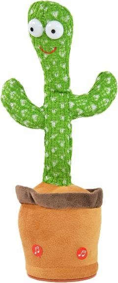 Immagine prodotto Kögler Cactus danzante (32 cm)