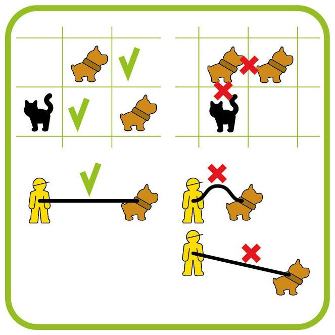 Immagine prodotto Smart Games Porta a spasso il cane (Inglese, Francese, Italiano, Tedesco)