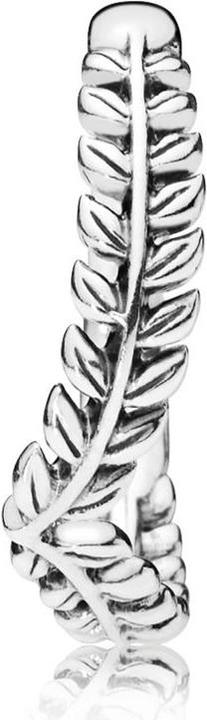 Produktbild Pandora Seeds Wishbone Silver Ring (48)