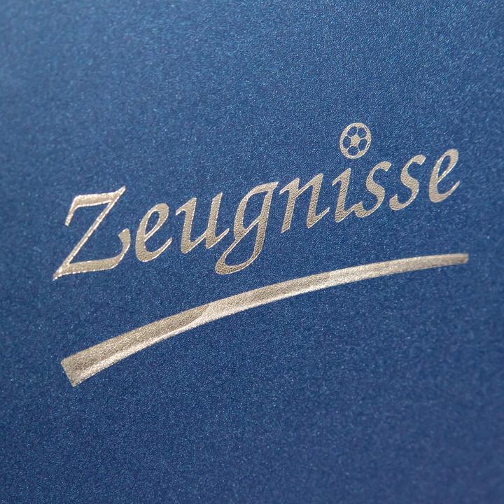 Produktbild Idena Zeugnisringbuch A4 10 Hüllen blau (A4, 1 x)
