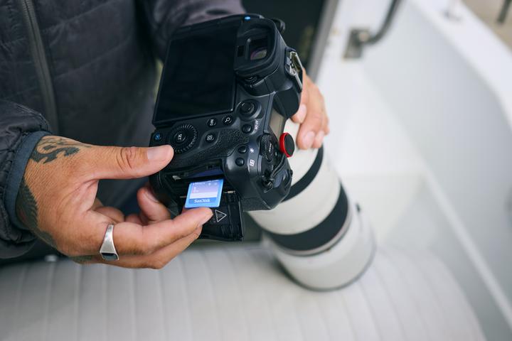 Image du produit SanDisk Creator UHS-II V60 (1000 Go, SDXC, U3, UHS-II)