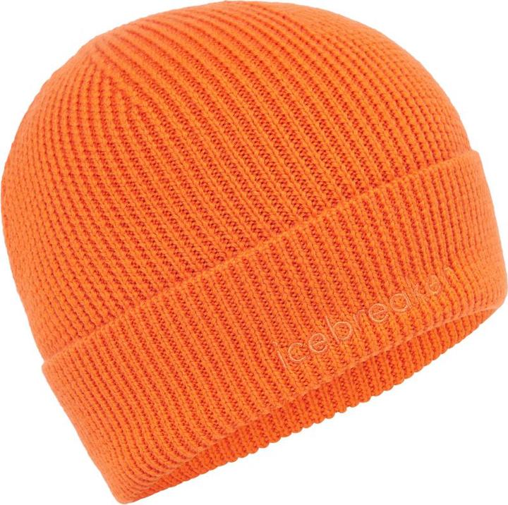 Icebreaker Unisex Merino Mer All Day Toque Beanie