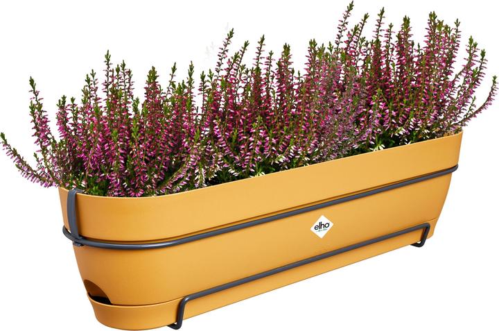 Actual product image Elho Vibia Campana Balcony Box Allin1 (26 cm)
