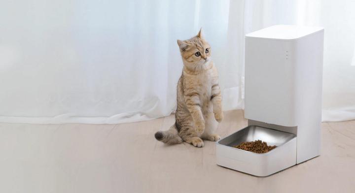 Actual product image Xiaomi Smart Pet Food Feeder (3.60 l)