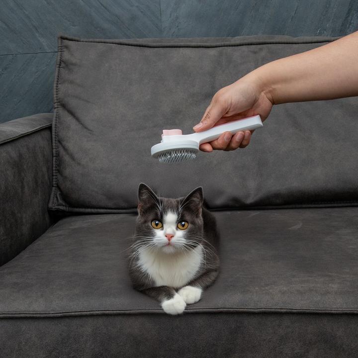 Actual product image Intirilife Cat brush Dog brush self-cleaning (Cat, Dog)