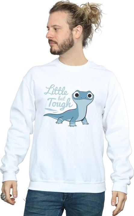 Produktbild Disney Frozen 2 Salamander Bruni Tough Sweatshirt (L)
