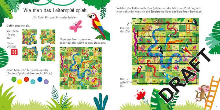 Actual product image Nolan:Ladder game: Race through the D (German)