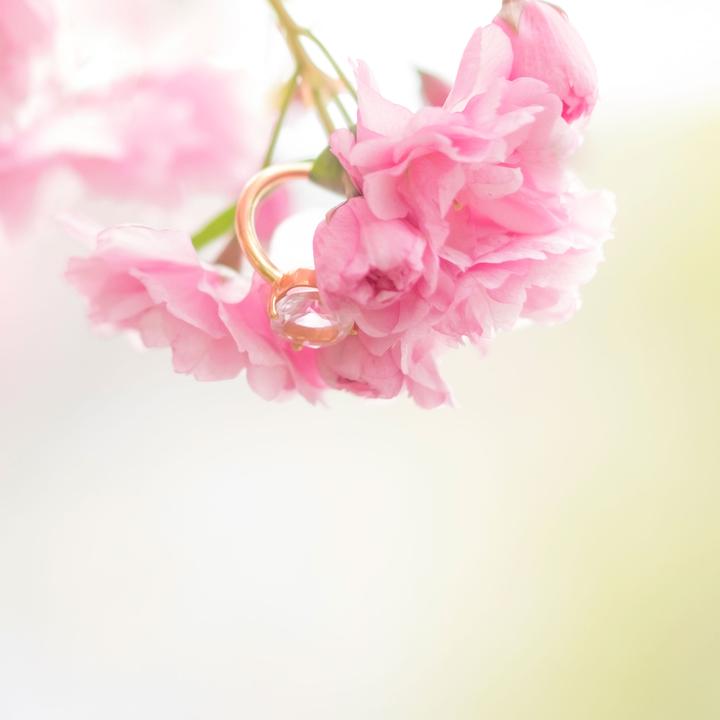 Produktbild Ailoria Églantine (56, 925 Silber)