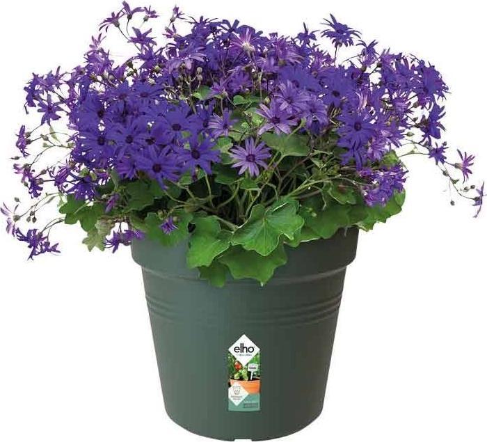 Produktbild Elho Green Basics (13 cm)