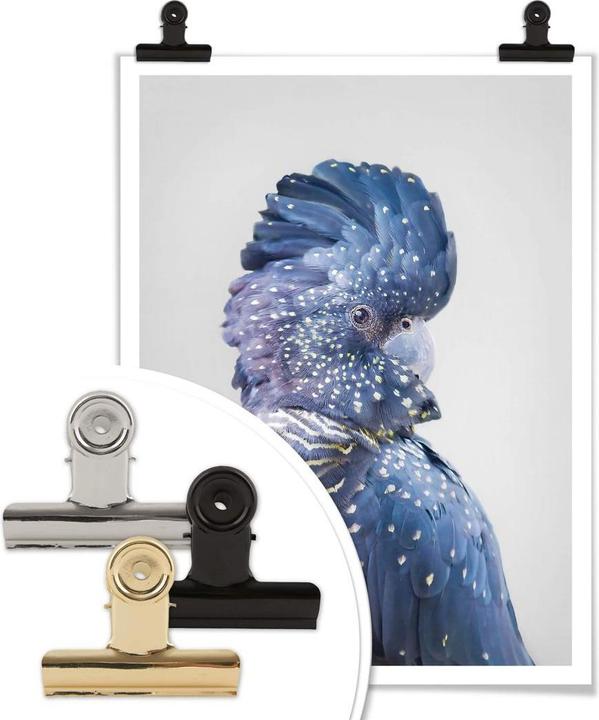 Actual product image Trenddeko Blue cockatoo (40 x 50 cm)