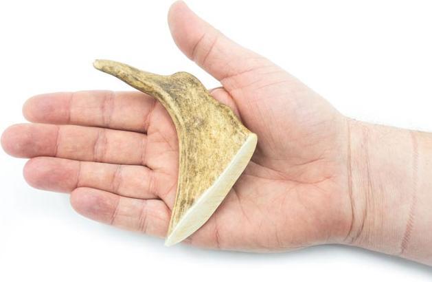 Actual product image 4Dogs Original 4DOGS - Fallow deer antlers (hard) - S