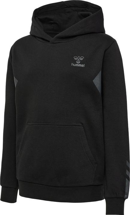 hummel Hmlactive Co Hoodie Kids (116)